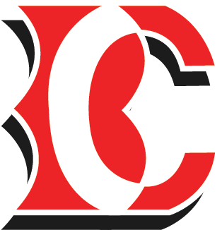 logo bussiness controller